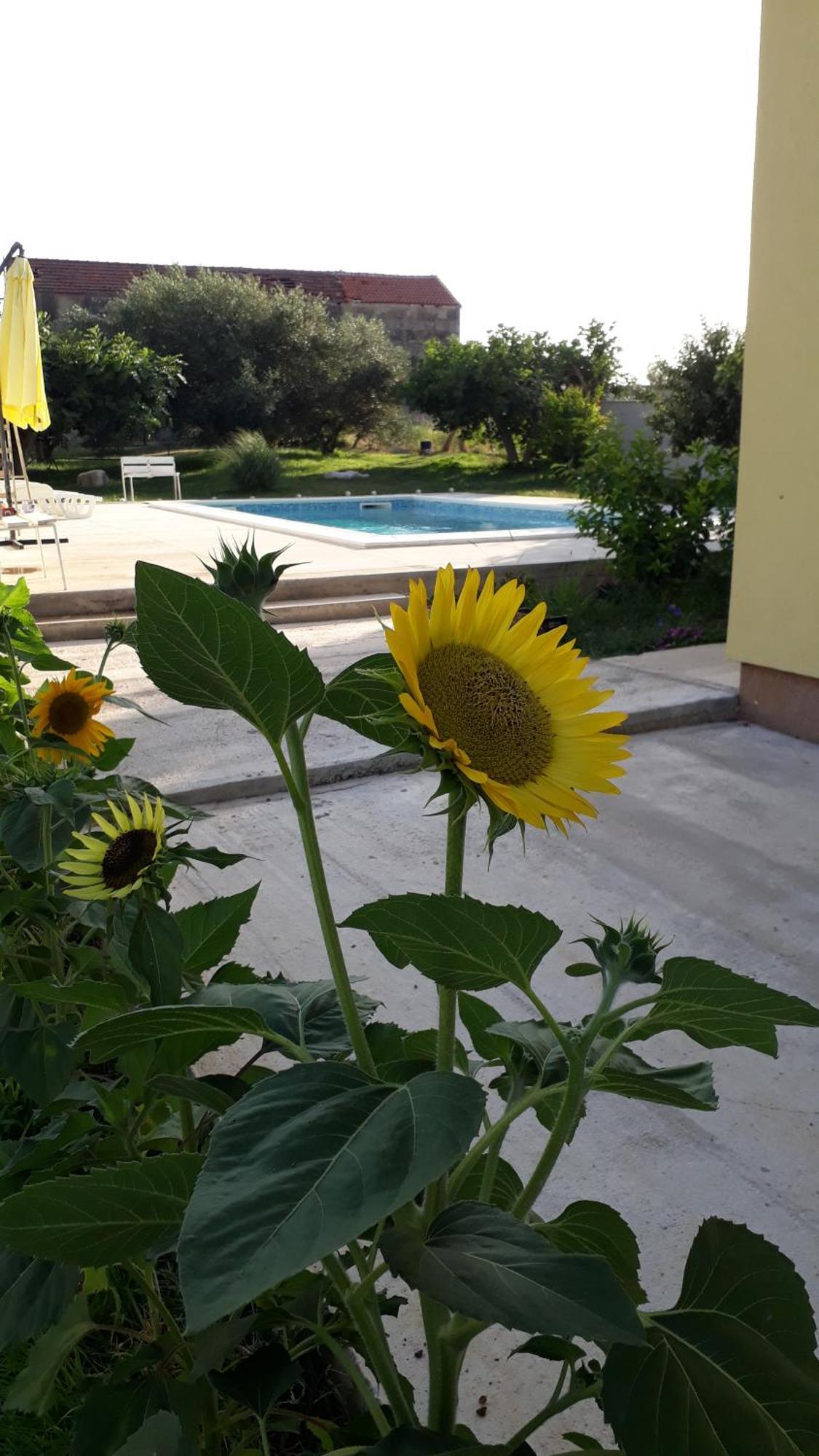 Villa Kutija Sveti Filip i Jakov Bagian luar foto